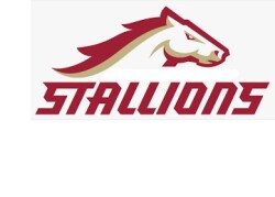 Stallions Logo