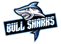 Bull Sharks Logo