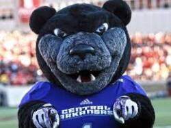 *Bruce D. Bear Logo