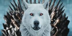 Lord Stark's Direwolves Logo