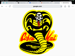 Cobra KaiNasty Logo