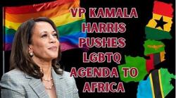 Kamala straight up lol BBC Logo