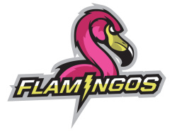 The Fighting Flamingos Logo