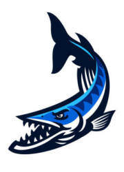 Barracuda Logo