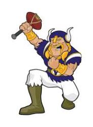 Vikings Logo