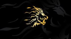 Bergamo Lions Logo