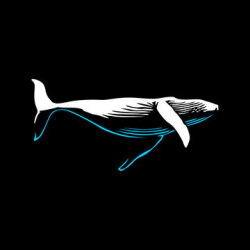 Blue Whale Logo