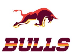 Bulls Logo