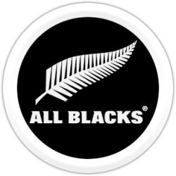 All Blacks_3 Logo