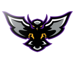 Midnight Owls Logo