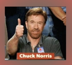 Thank You Chuck Norris! Logo