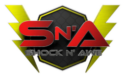 Shock and Awe Logo