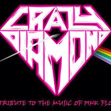 Crazy Diamond Logo