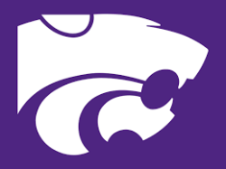 WildcatWillie Logo