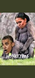 zObama Monkey Pox Logo