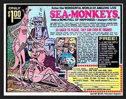 Seattle SeaMonkeys Logo