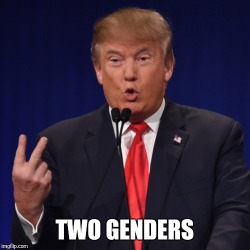 Only Two Genders Logo