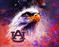 War Eagle-33 Logo