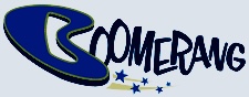 6 Boomerang Logo