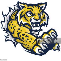 Evart Wildcats (ONT) Logo