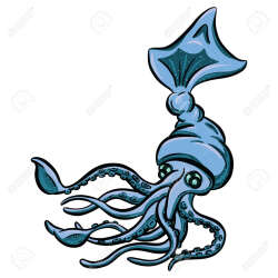 Colossal Squid Logo