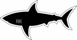 (T) Sharks 6 Logo