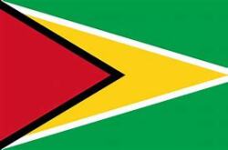 Guyanese Football Club Logo