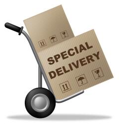 Special Delivery Logo