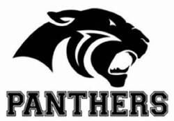 Panthers 2 Logo