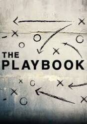 Insane Playbook Logo