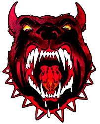 PITT-BULLS Logo