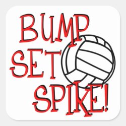 BS Spike Logo