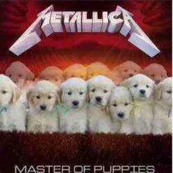 Master of Puppies Logo