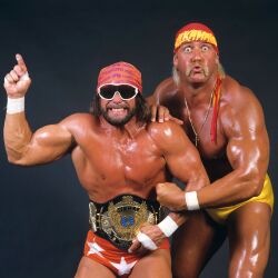 The Mega Powers Logo