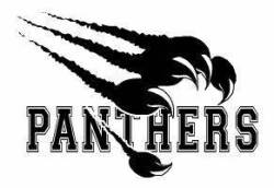 Panthers 3 Logo