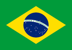 Brazil Eagles Logo