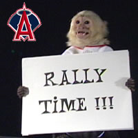 Castle Rock Rallymonkeys Logo