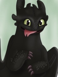 Toothless Logo