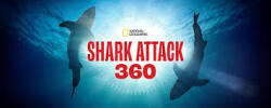 Shark Attack Logo