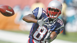 WR Randy Moss #81 Logo