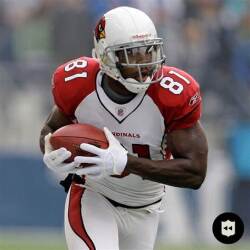 WR Anquan Bolden #81 Logo