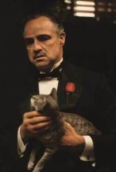 Godfather BBscout Logo
