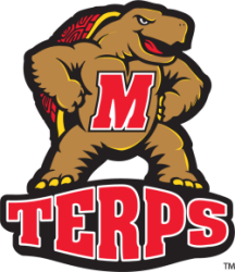 TopTerp Logo