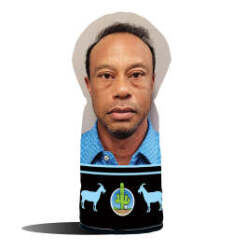 Tiger's Best Drivers Logo