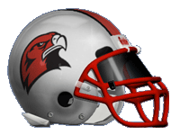 Leto Falcons Logo
