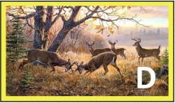 ROADKILL GHOSTS D Logo