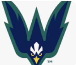 MightySeahawk Logo