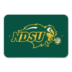 Bison $100 P2 6 4 Logo