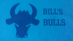 BILLS BULLS Logo