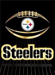 Steel Curtain DMBBSF 2 Logo